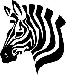 Zebra Tattoos 139