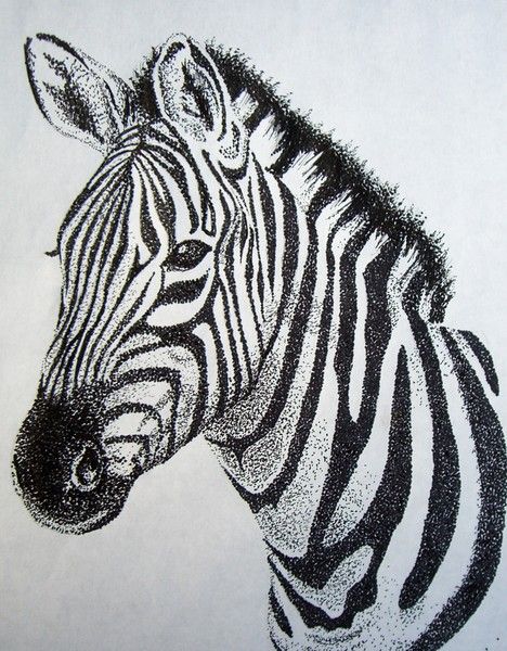 Zebra Tattoos 154