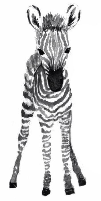 Zebra Tattoos 37