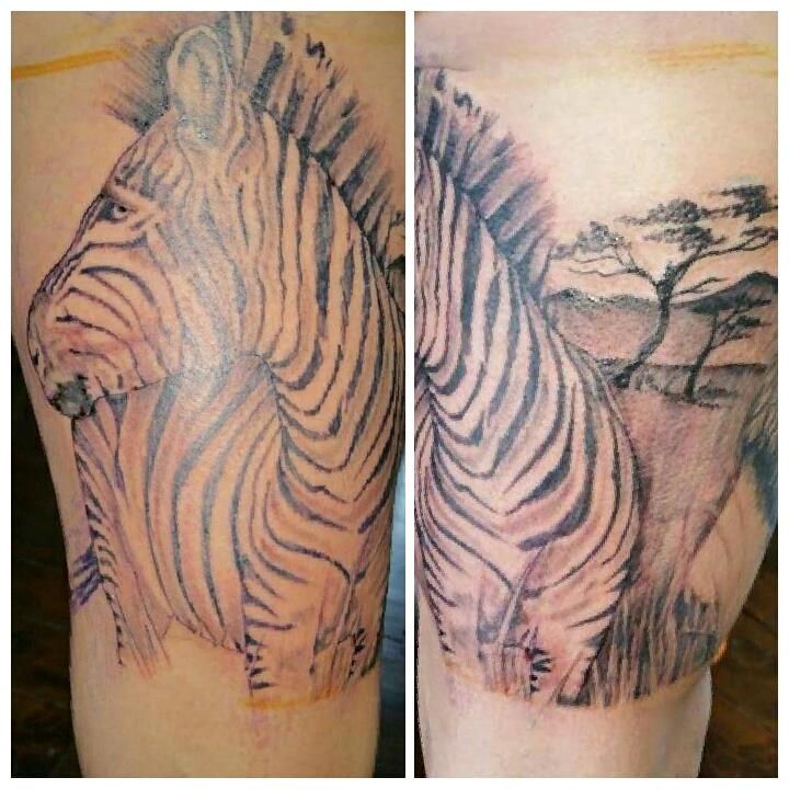 Zebra Tattoos 40
