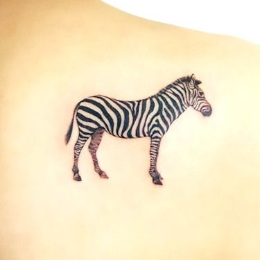 Zebra Tattoos 41