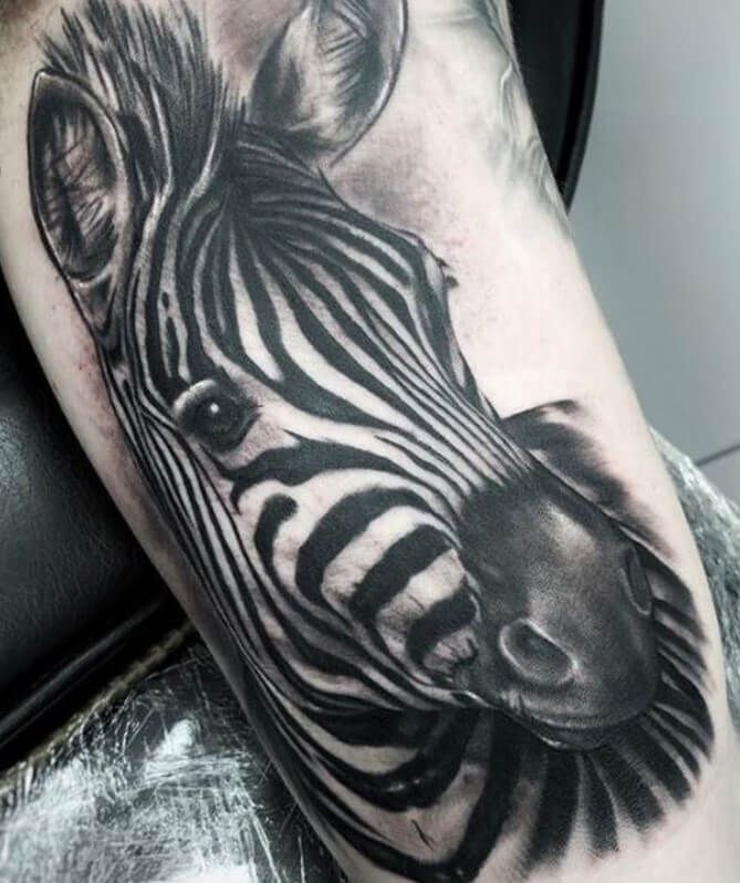 Zebra Tattoos 43