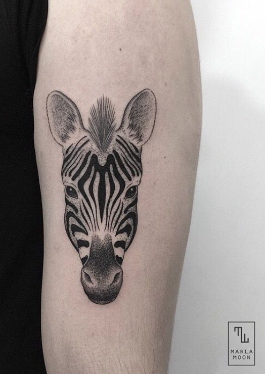 Zebra Tattoos 51