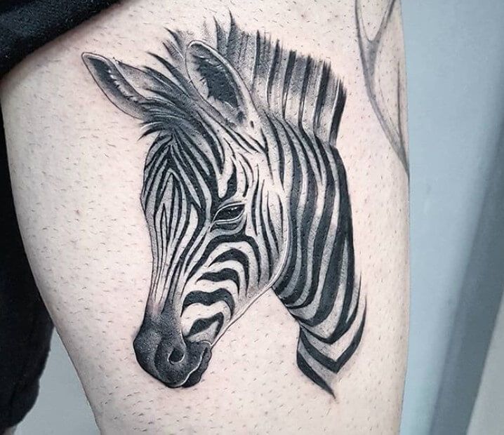 Zebra Tattoos 63