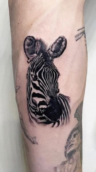 Zebra Tattoos 64