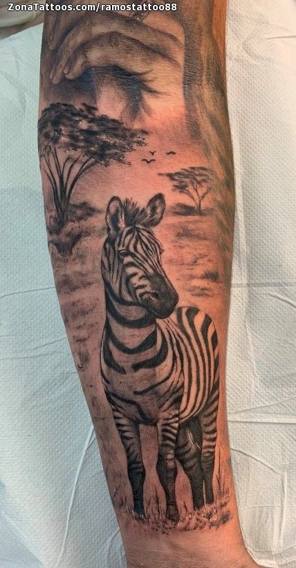 Zebra Tattoos 69