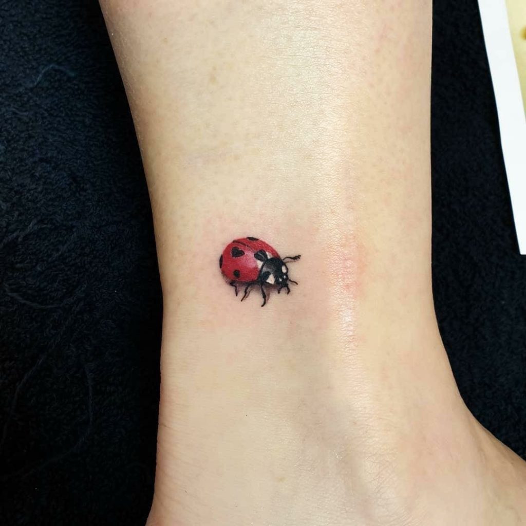 Ladybug Tattoos 1