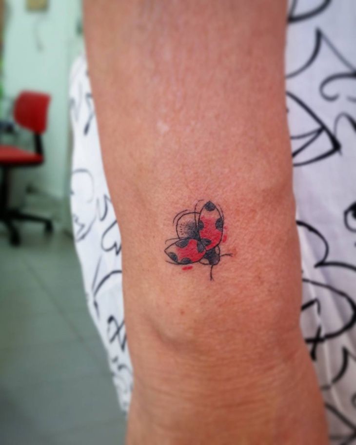 Ladybug Tattoos 101