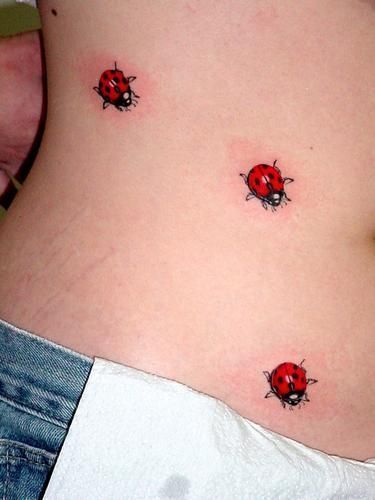Ladybug Tattoos 104