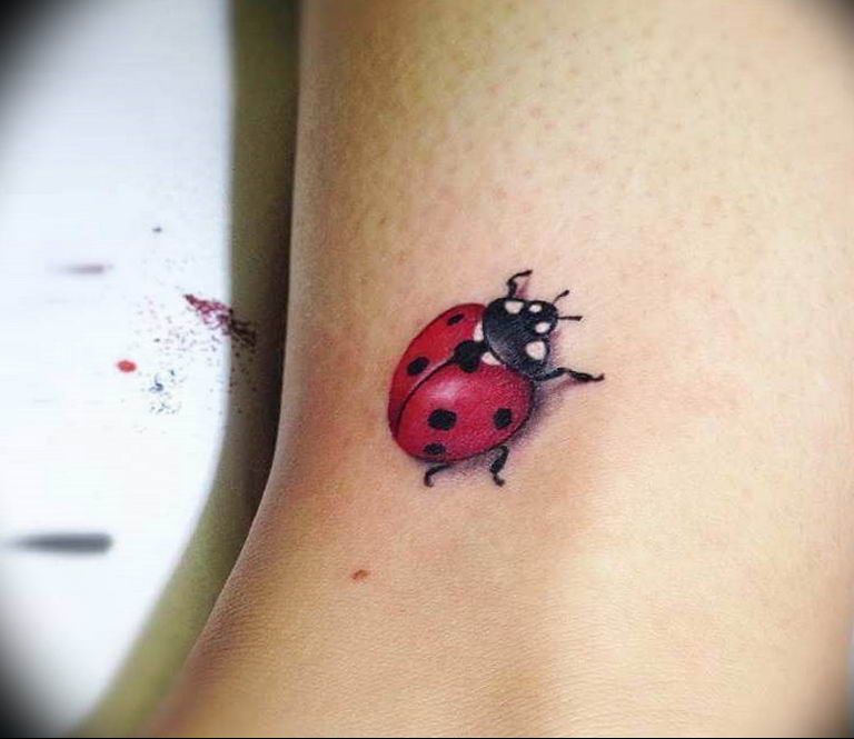 Ladybug Tattoos 107