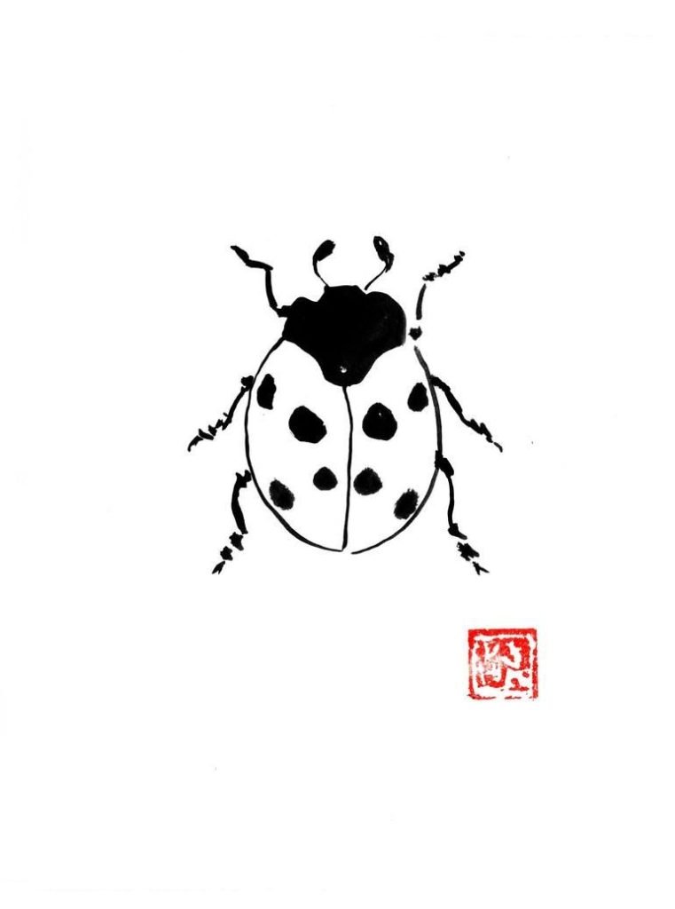 Ladybug Tattoos 108