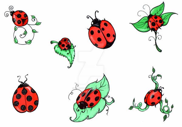 Ladybug Tattoos 113