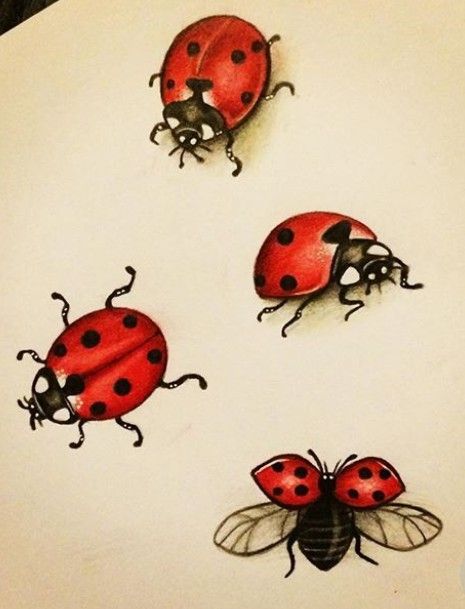 Ladybug Tattoos 116