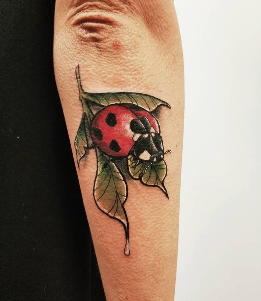 Ladybug Tattoos 123