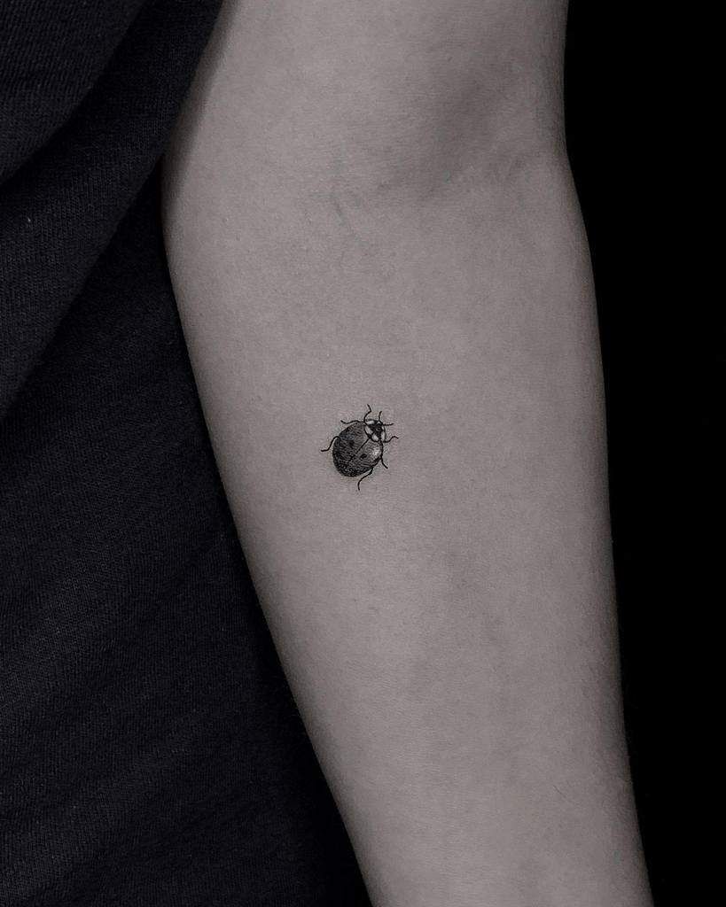 Ladybug Tattoos 137