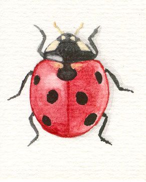 Ladybug Tattoos 139