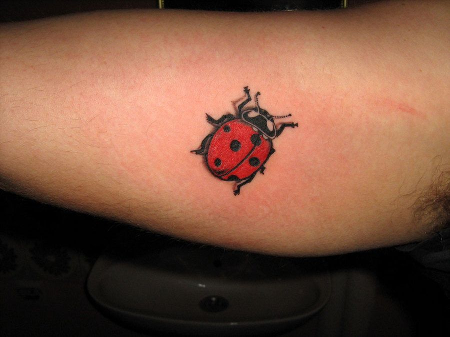 Ladybug Tattoos 141