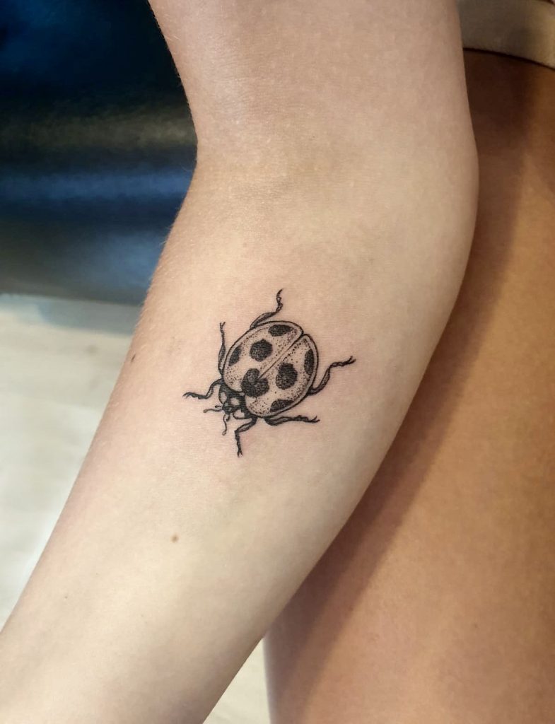 Ladybug Tattoos 144