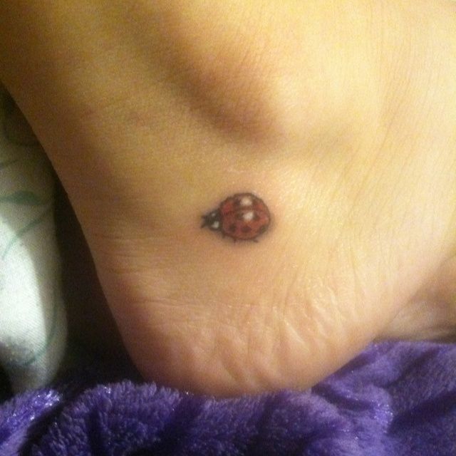 Ladybug Tattoos 148