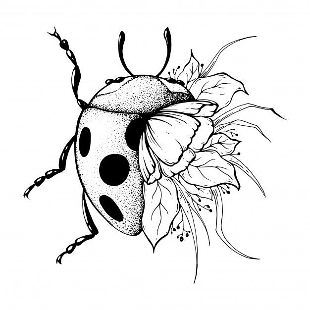 Ladybug Tattoos 171