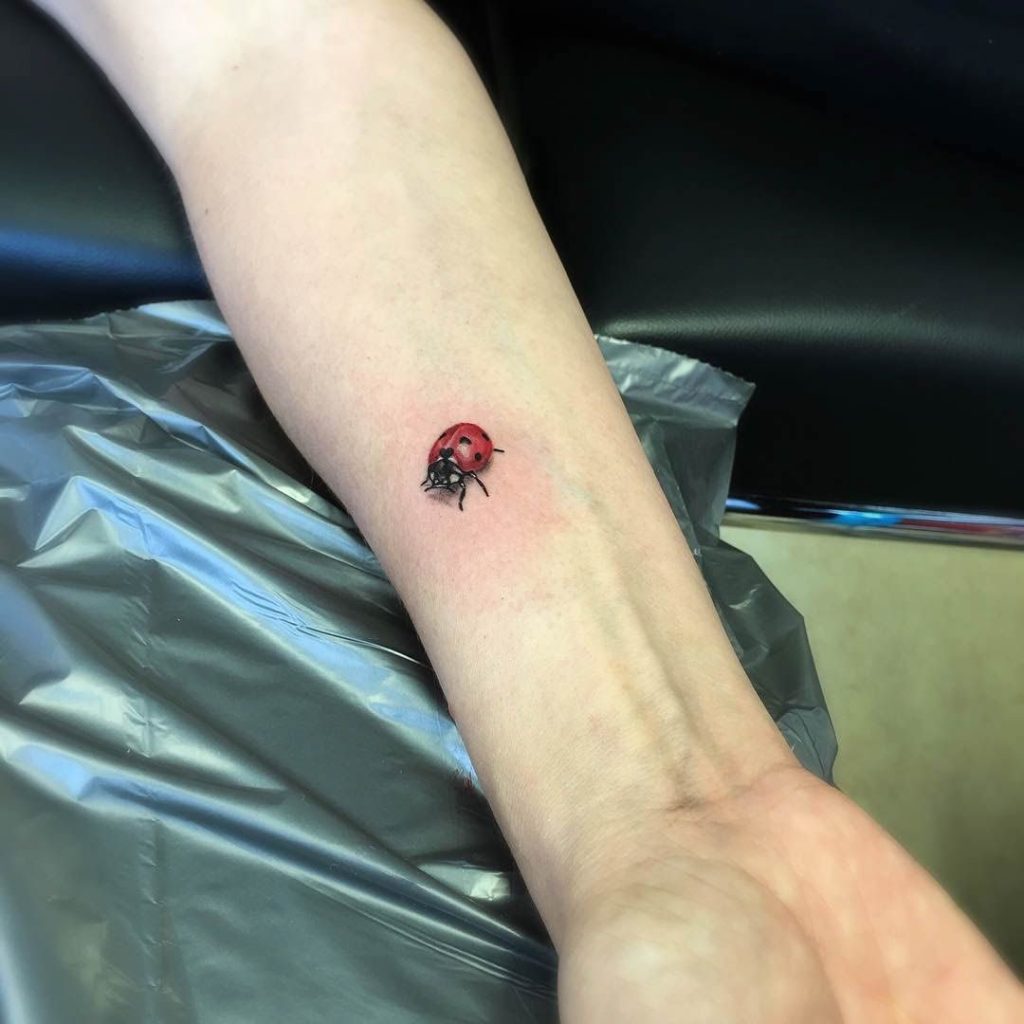 Ladybug Tattoos 185