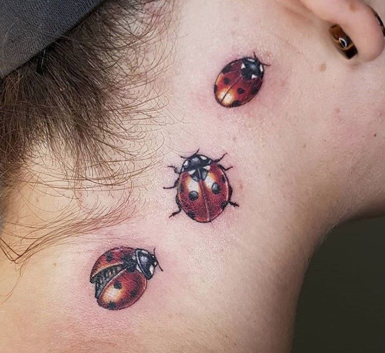 Ladybug Tattoos 189