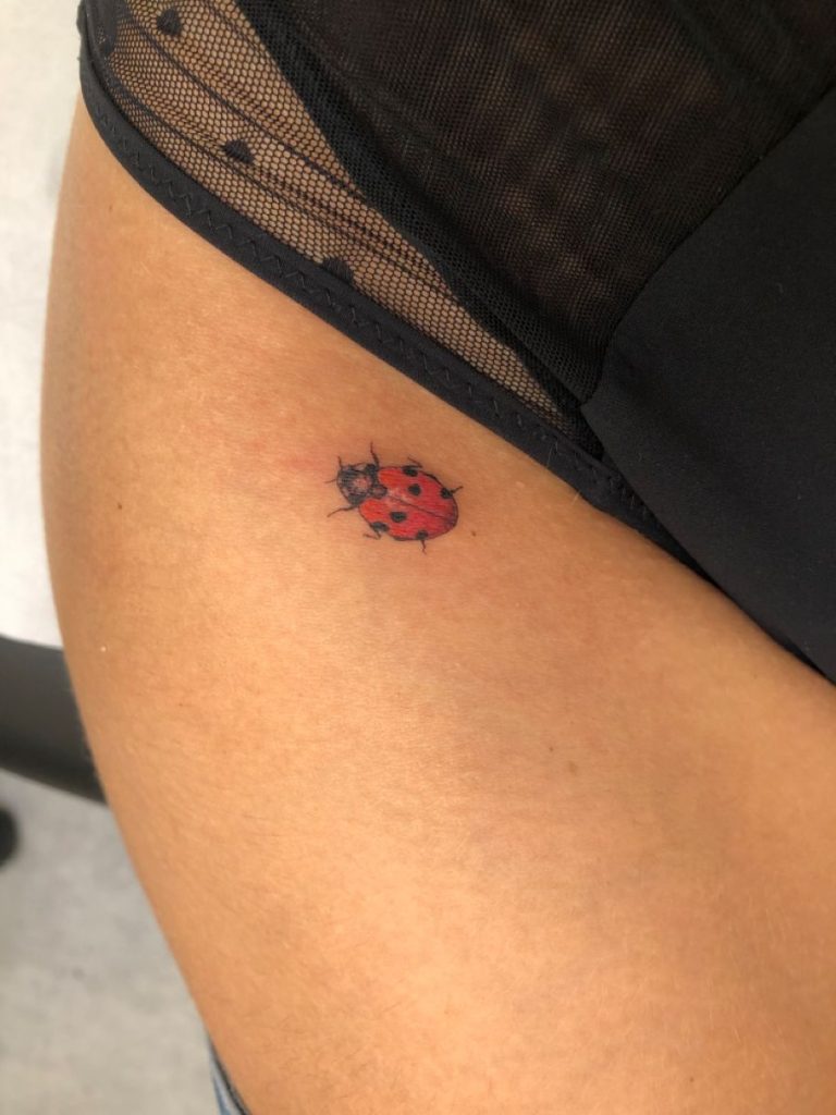 Ladybug Tattoos 190