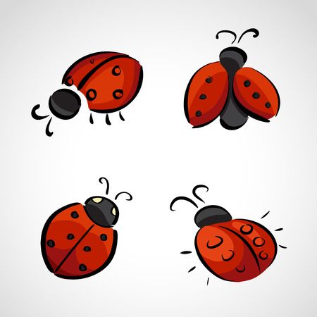 Ladybug Tattoos 191