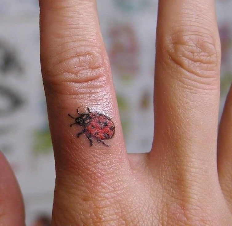 Ladybug Tattoos 197