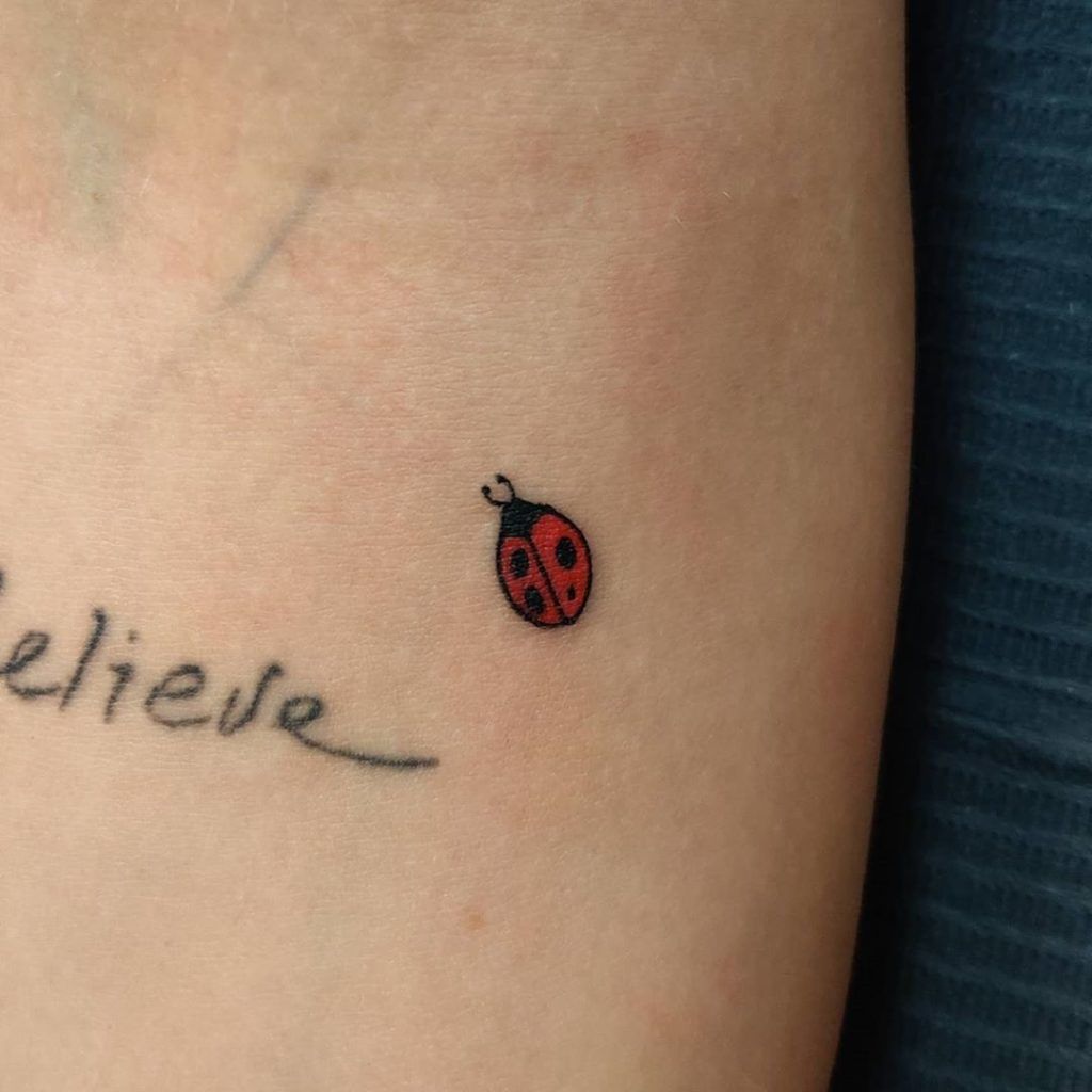 Ladybug Tattoos 202