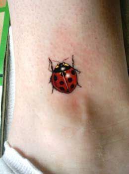 Ladybug Tattoos 204