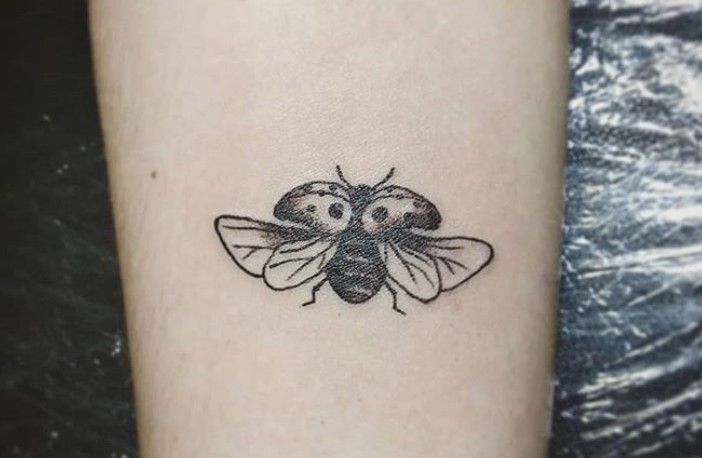 Ladybug Tattoos 205