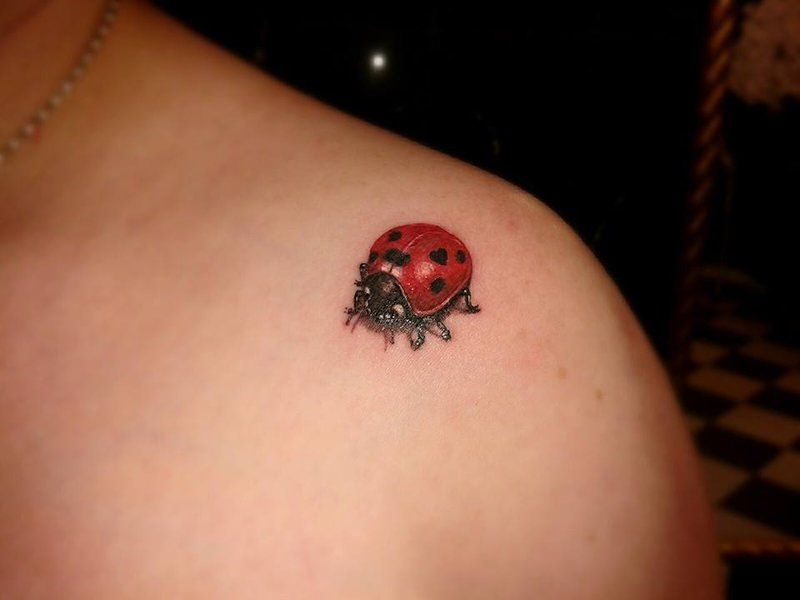 Ladybug Tattoos 27