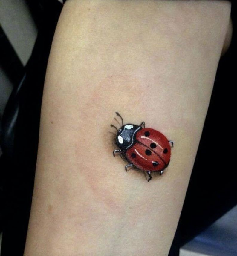 Ladybug Tattoos 37