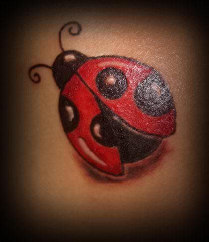 Ladybug Tattoos 45