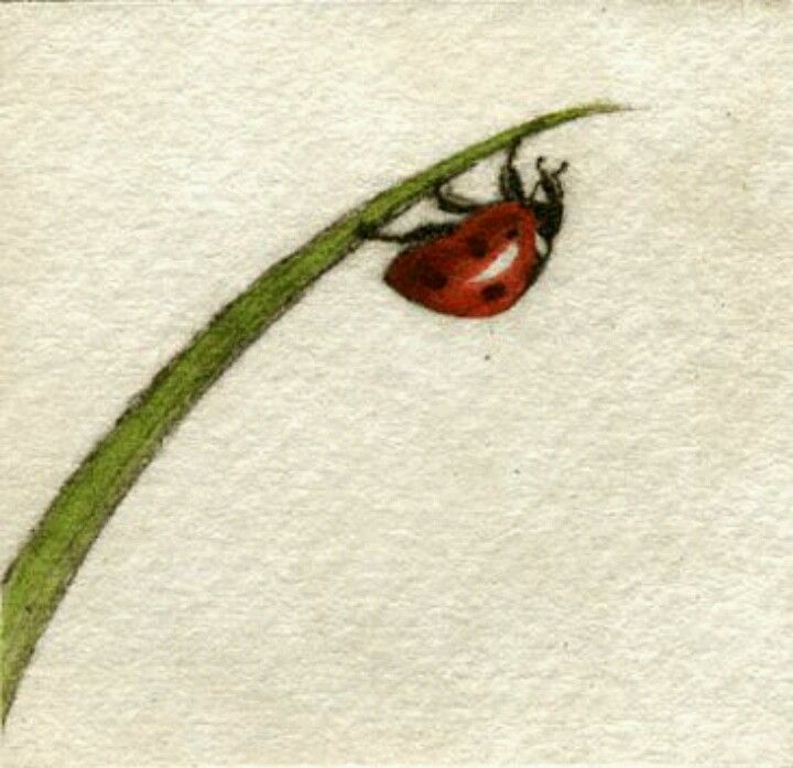 Ladybug Tattoos 48