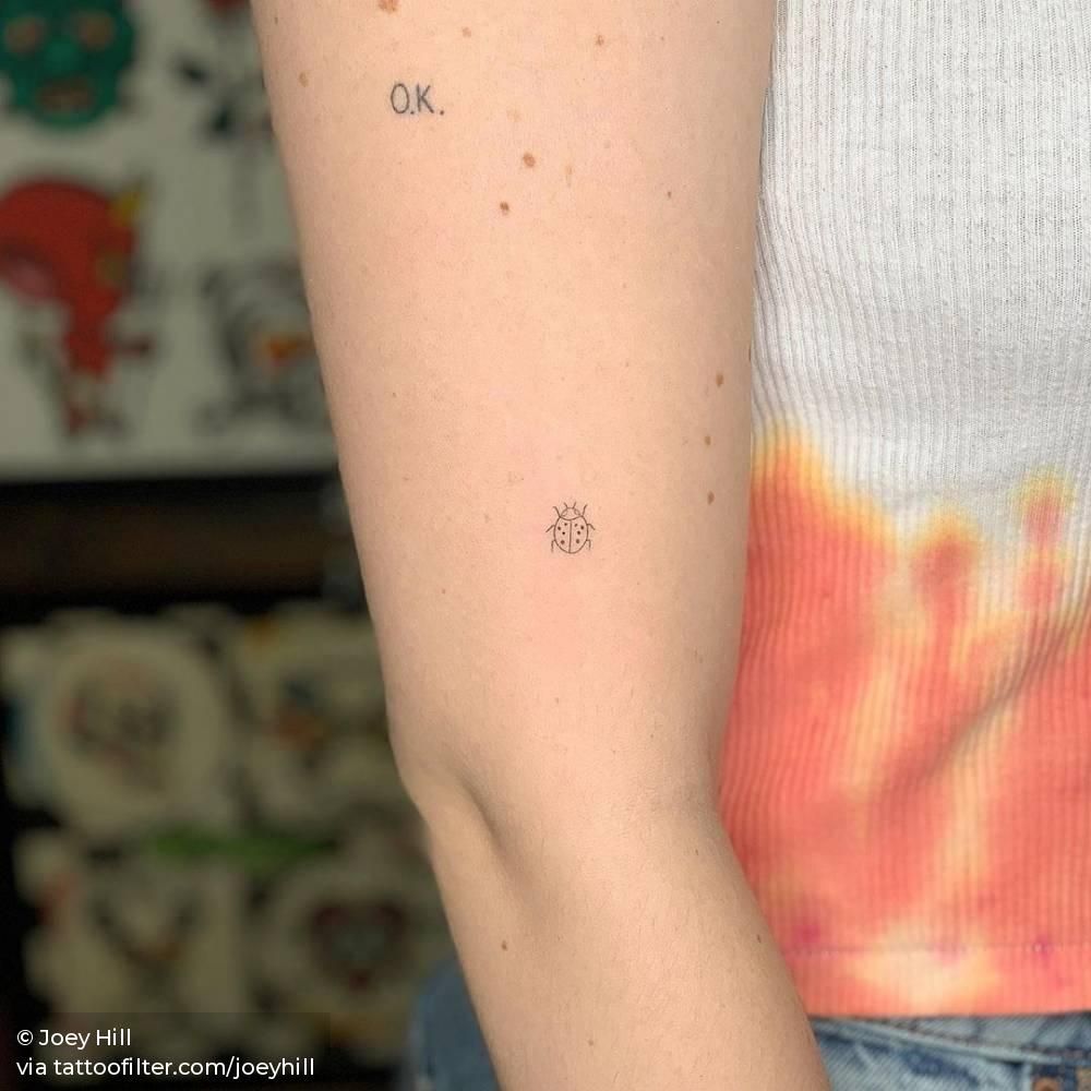 Ladybug Tattoos 50