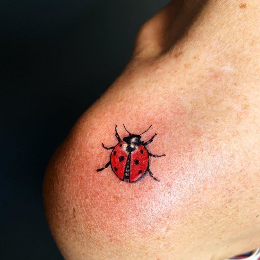 Ladybug Tattoos 62