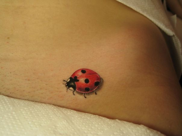 Ladybug Tattoos 63