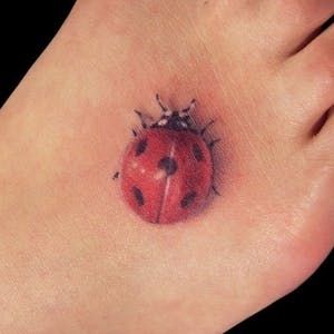 Ladybug Tattoos 73