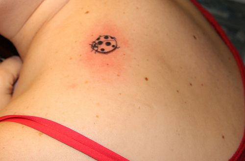 Ladybug Tattoos 74