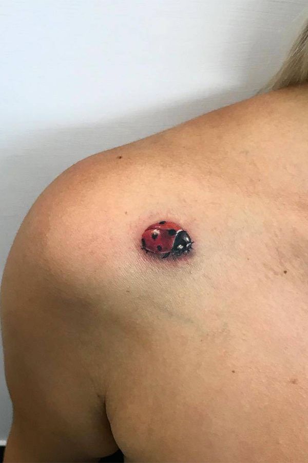Ladybug Tattoos 76