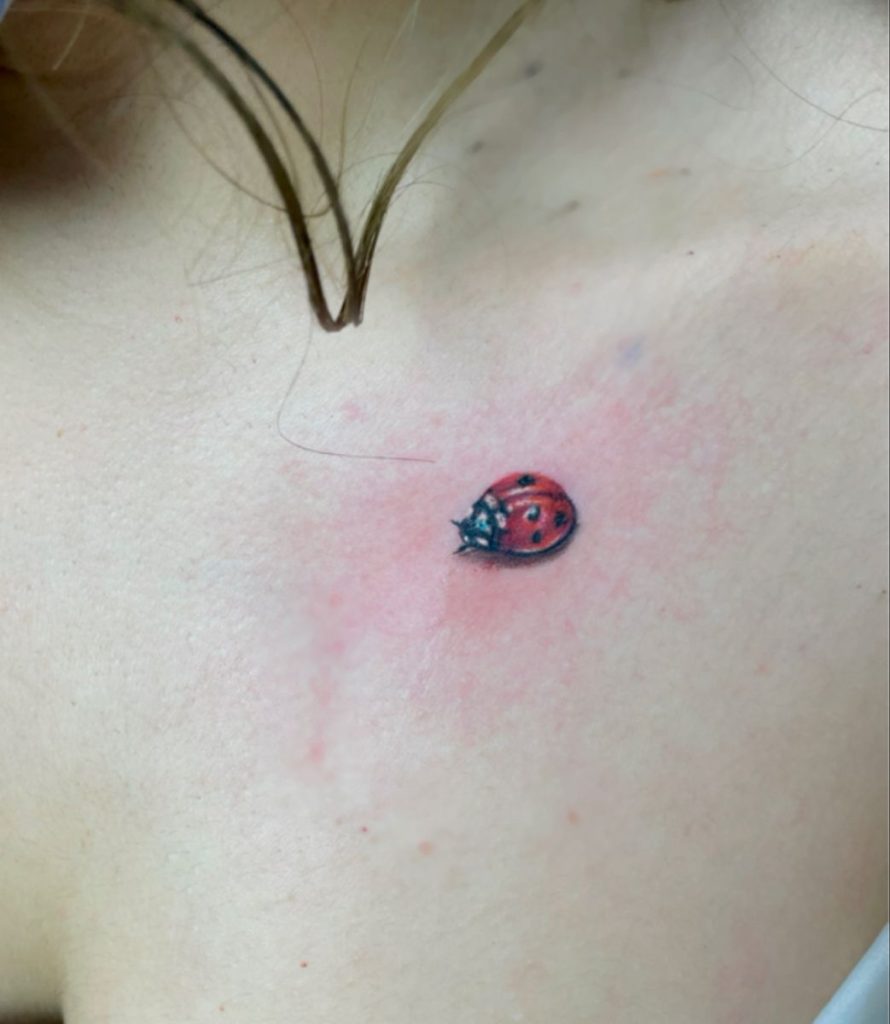 Ladybug Tattoos 77
