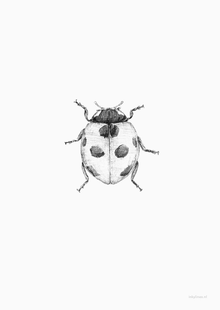 210+ Magnificent Ladybug Tattoos Designs (2023) - TattoosBoyGirl 210+ Magnificent Ladybug Tattoos Designs (2023) - TattoosBoyGirl