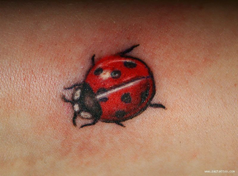 Ladybug Tattoos 95
