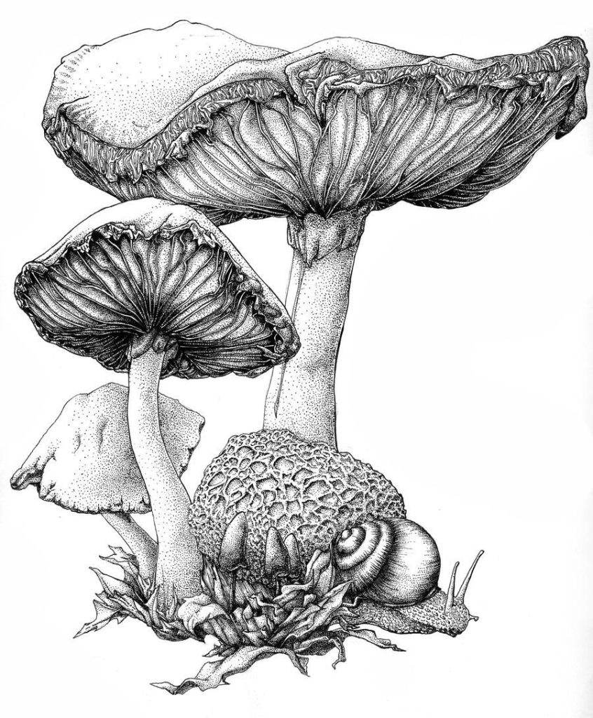 Mushroom Tattoo 114