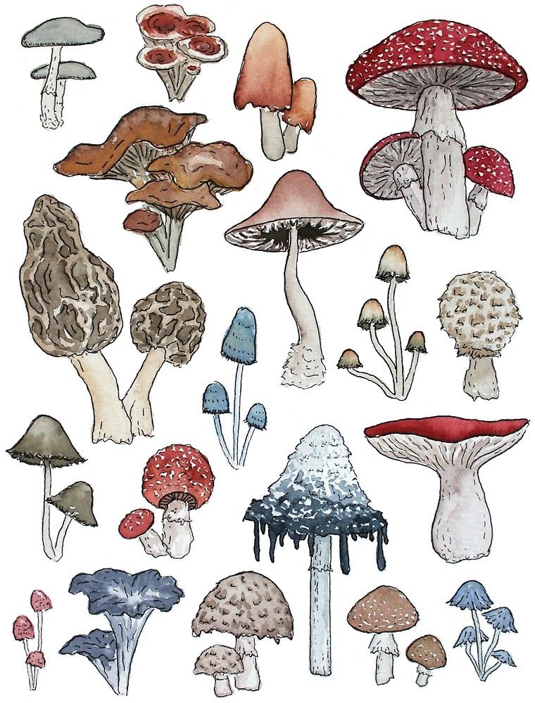 Mushroom Tattoo 119