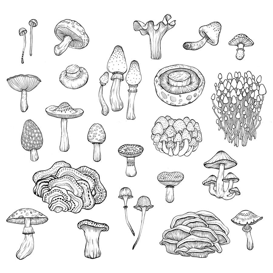 Mushroom Tattoo 150