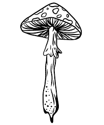 Mushroom Tattoo 17
