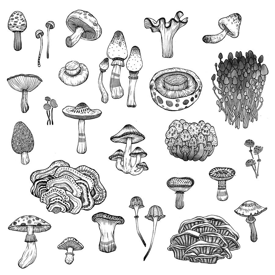 Mushroom Tattoo 209